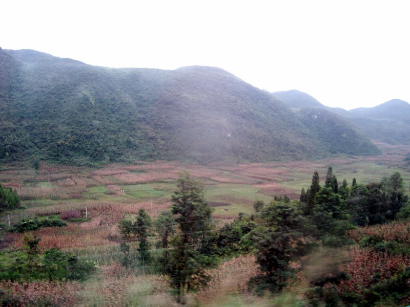 dscf0309.jpg