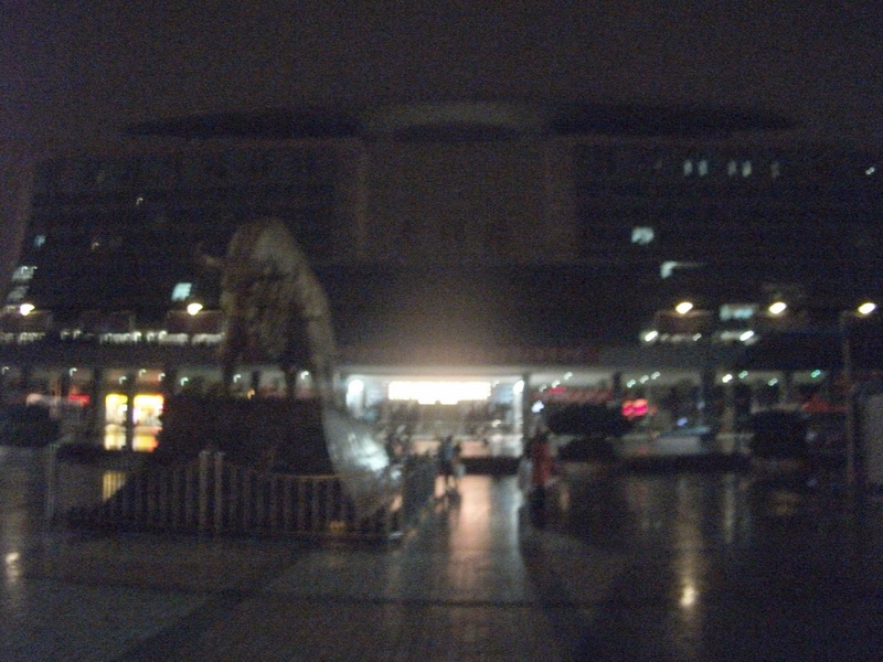 dscf0350.jpg