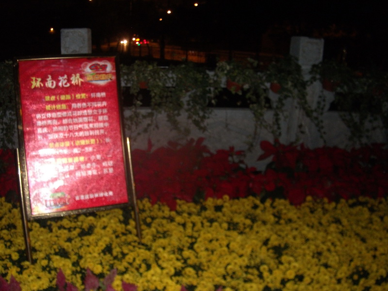 dscf0354.jpg