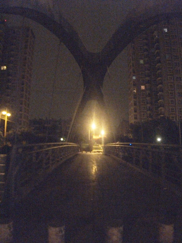 dscf0356.jpg
