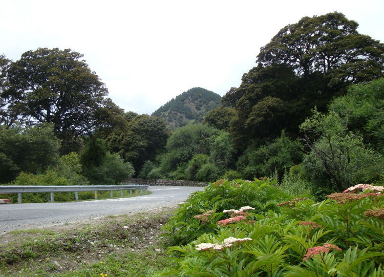 z21.jpg