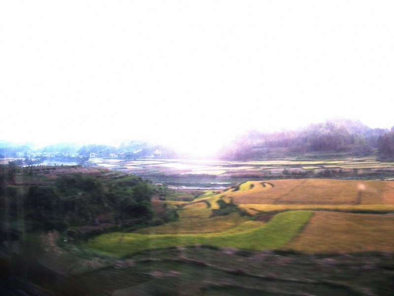 dscf0411.jpg
