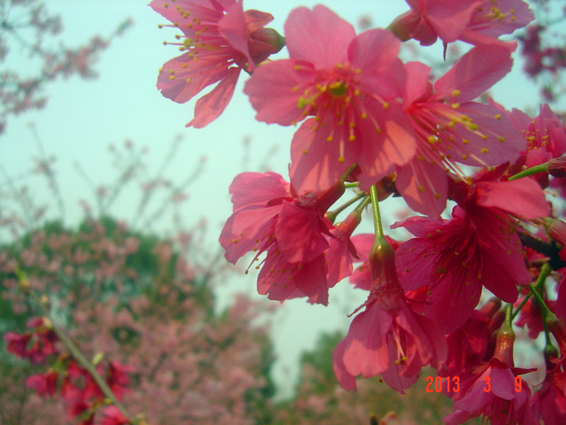 dsc01995_.jpg