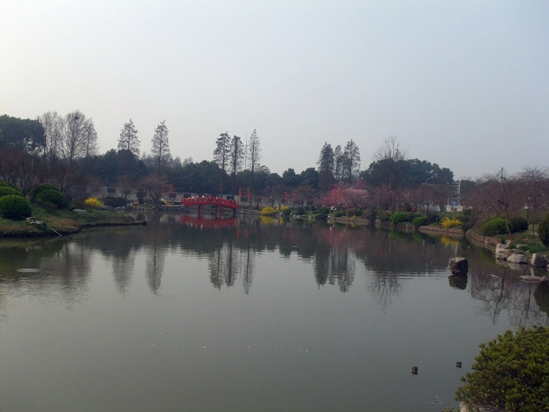 dscf9591_.jpg