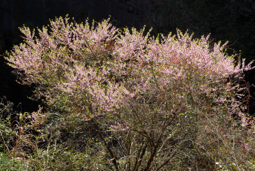 dsc_0075.jpg