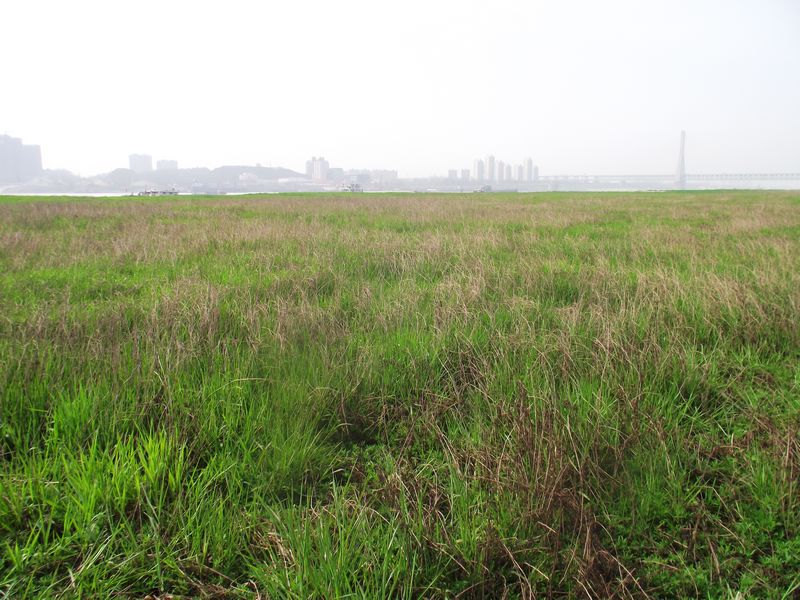 dscf8135.jpg