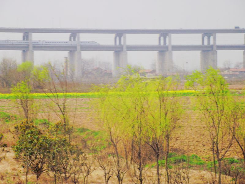 dscf8172.jpg