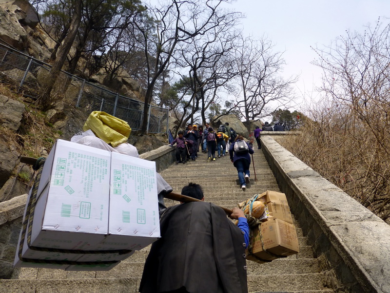 p1040262.jpg