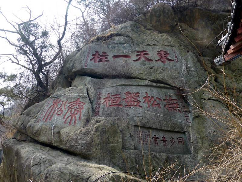 p1040266.jpg