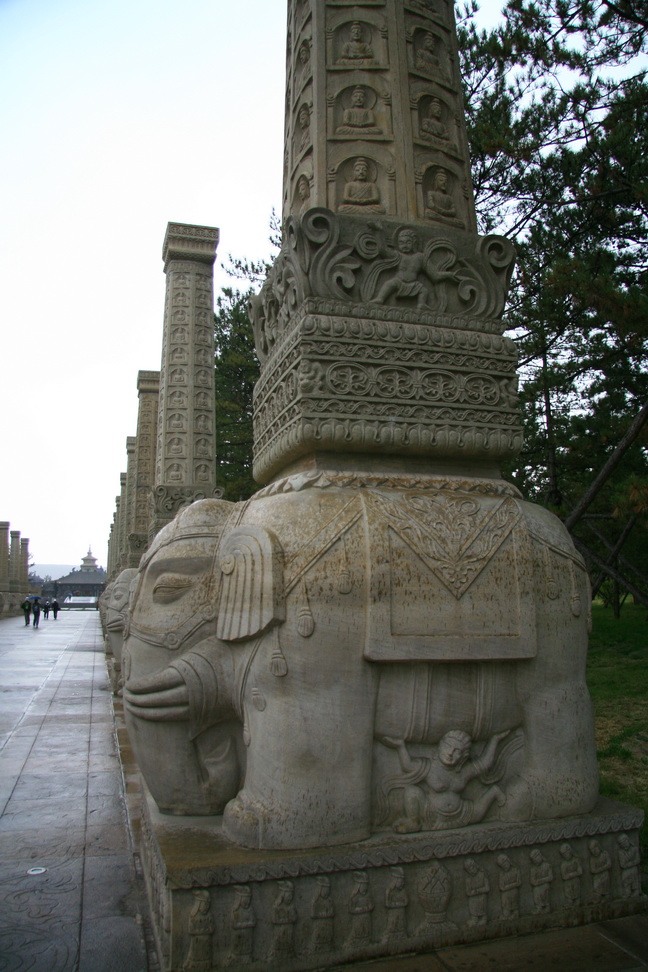 187.jpg