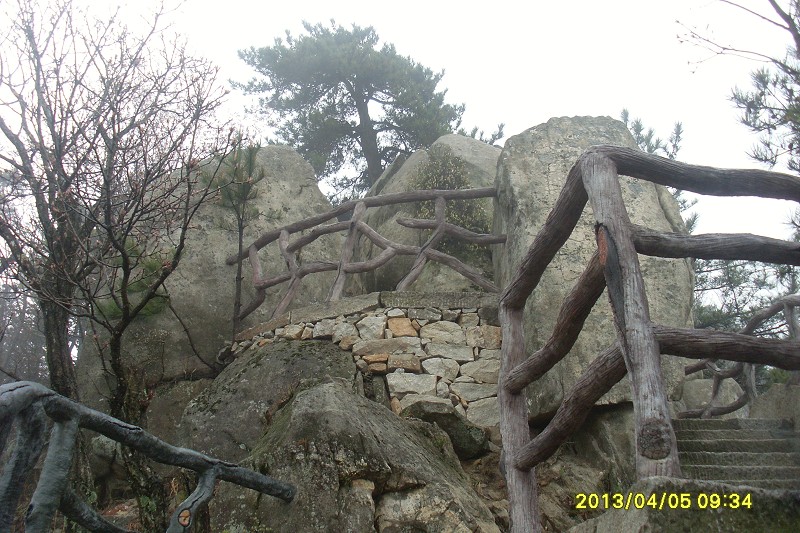 010.jpg
