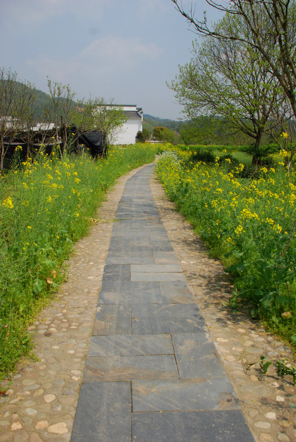 dsc_0442.jpg