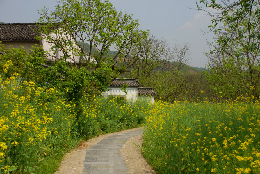 dsc_0450.jpg