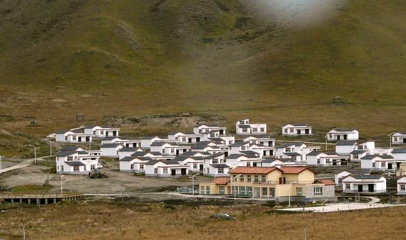 319.jpg