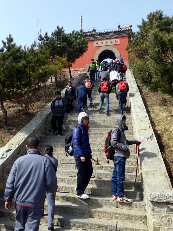 p1040331.jpg