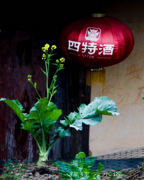 img_0227_缩小大小.jpg