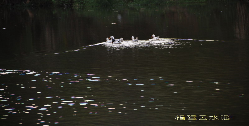 img_0475_缩小大小.jpg