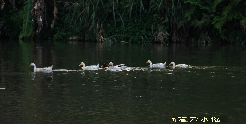 img_0488_缩小大小.jpg