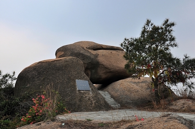 dsc_0104.jpg