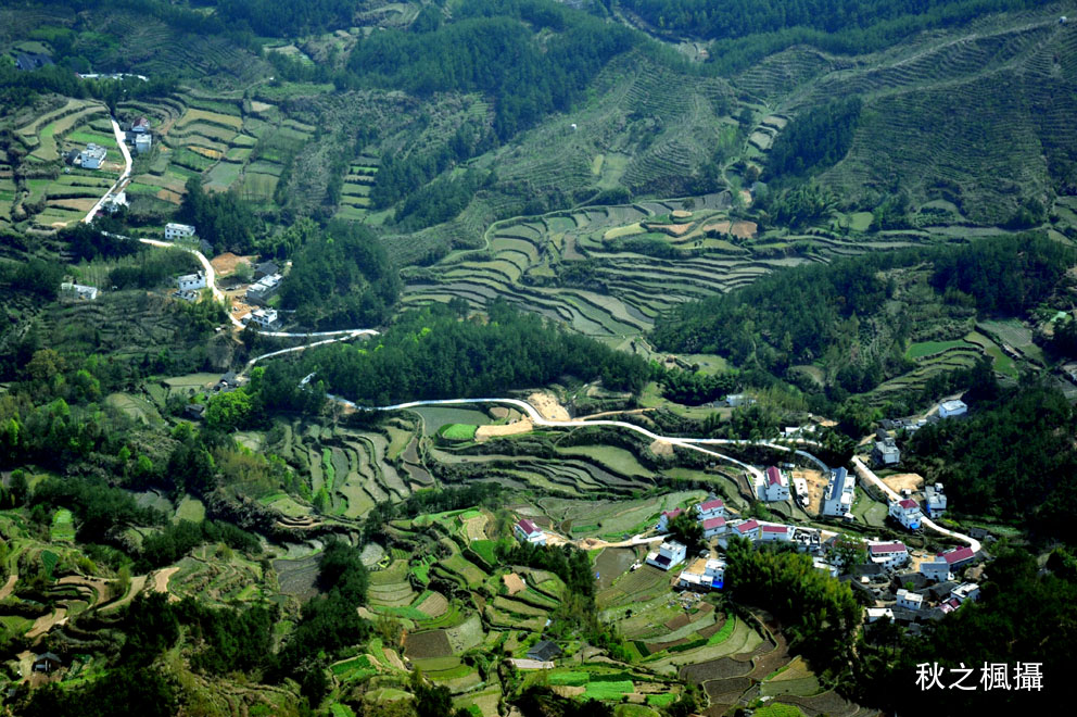 dsc_2655-1.jpg
