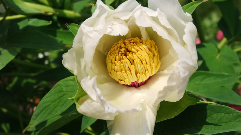 dscf9057_.jpg