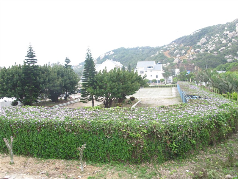 psb (22).jpg