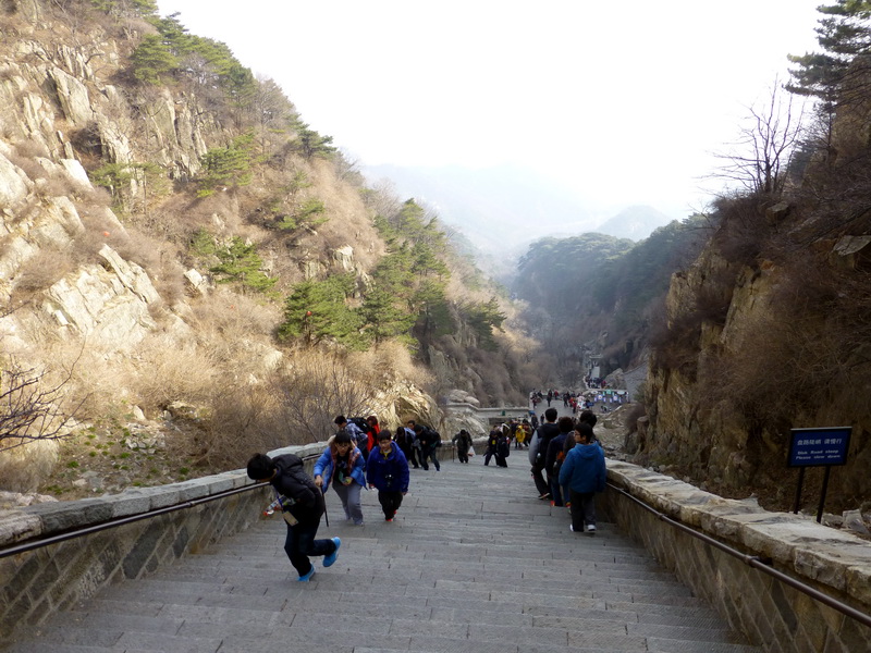 p1040390.jpg
