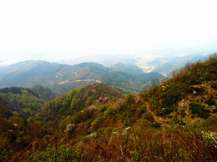 dscn0371.jpg