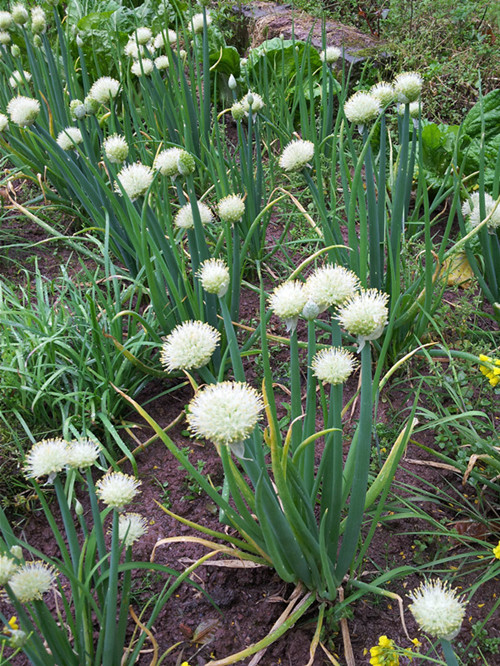 20130405_121803_.jpg