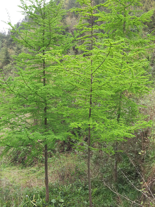 20130404_090152.jpg