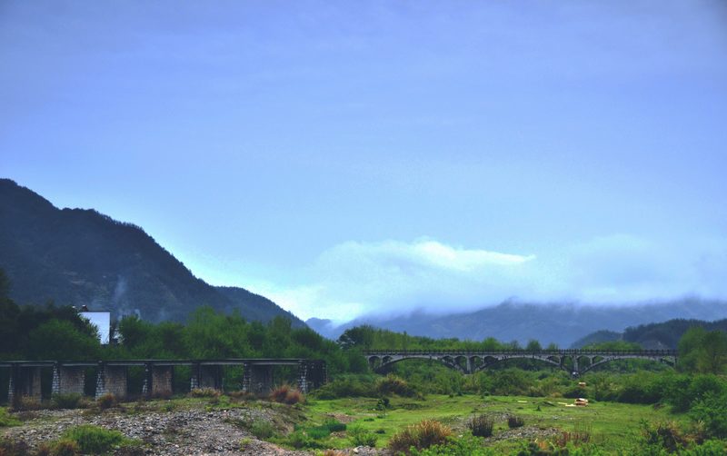 dsc_3441.jpg