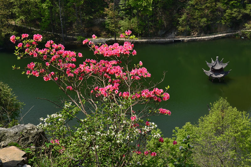dsc_0161.jpg