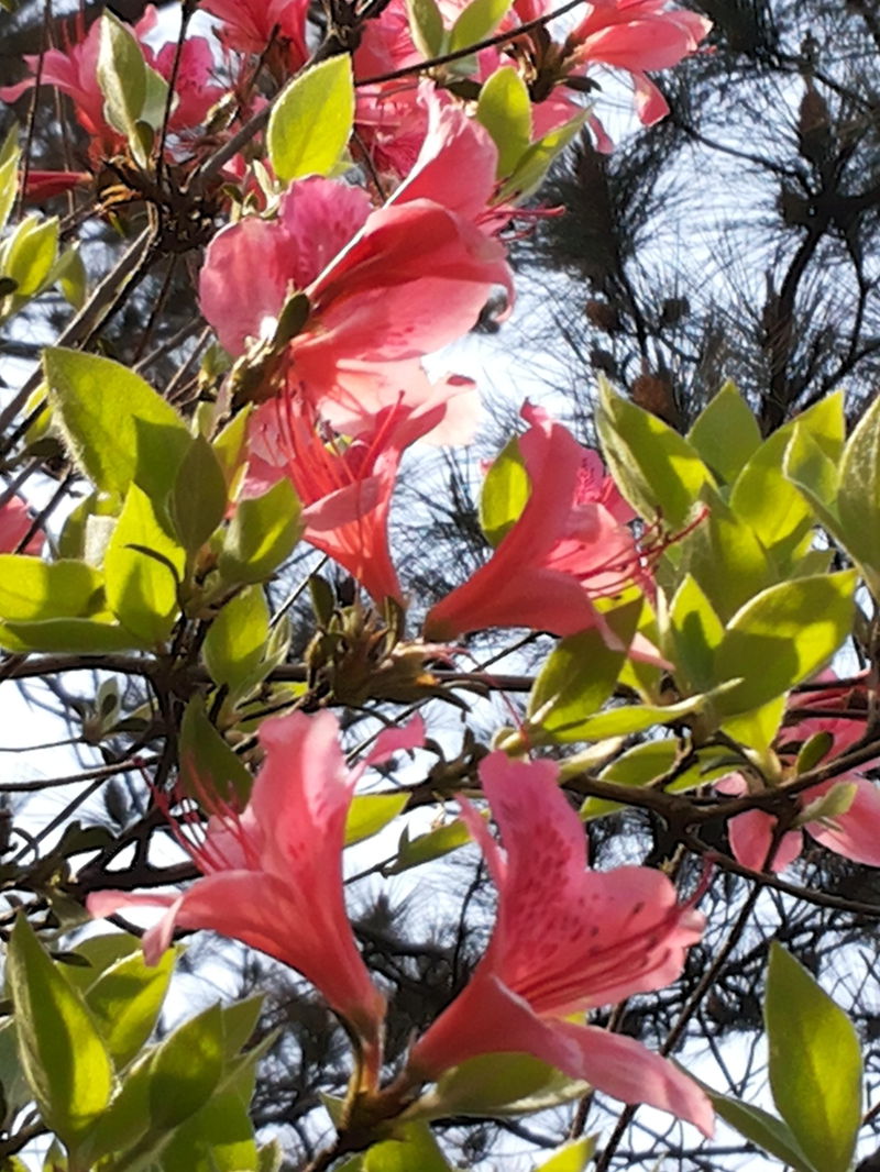 20130413_142555_.jpg