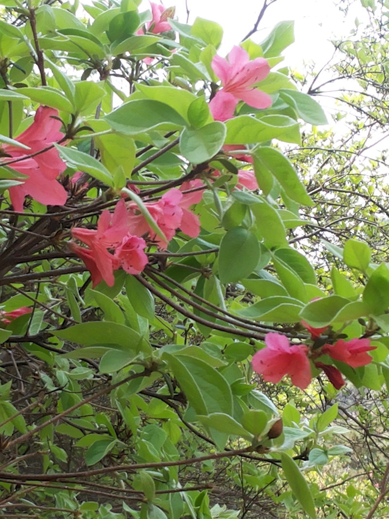 20130413_144233_.jpg
