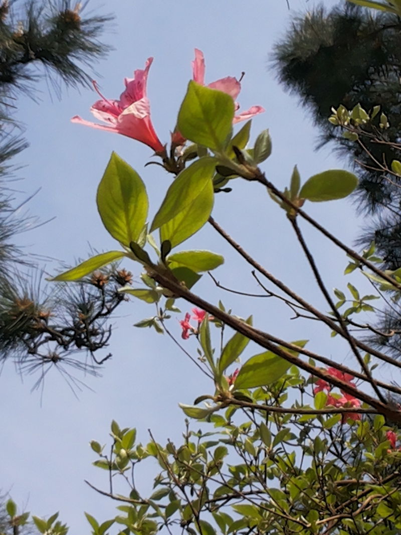 20130413_144304_.jpg