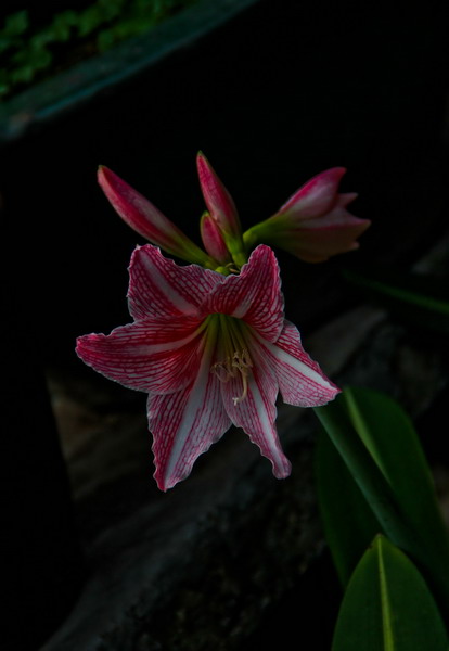 img_0763_СС.jpg