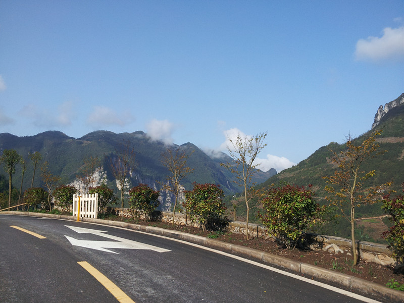 20130406_084730.jpg
