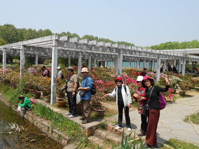 dscn0519.jpg