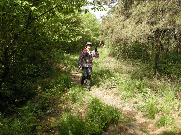 dscn8135.jpg