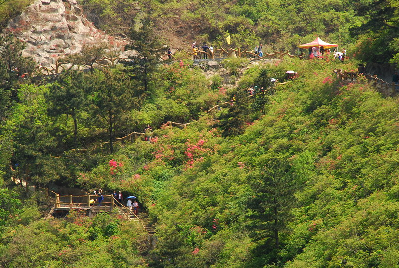 dsc_7419.jpg