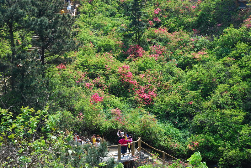 dsc_7426.jpg