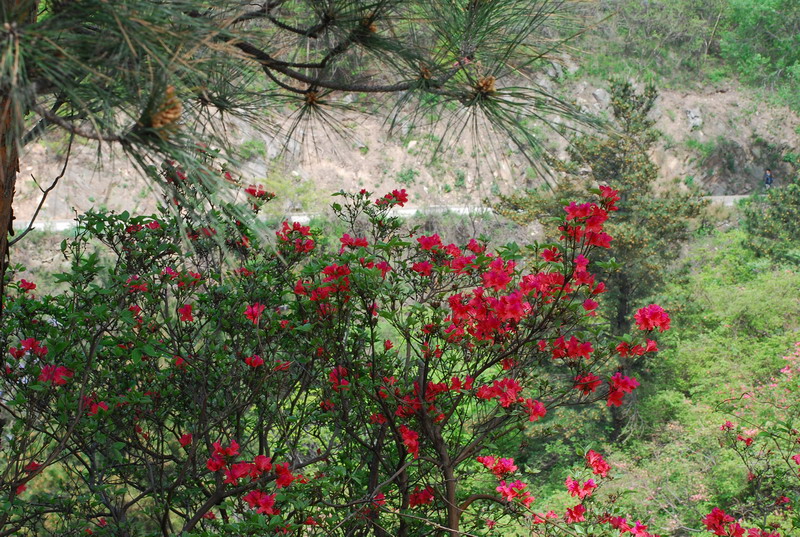 dsc_7464.jpg