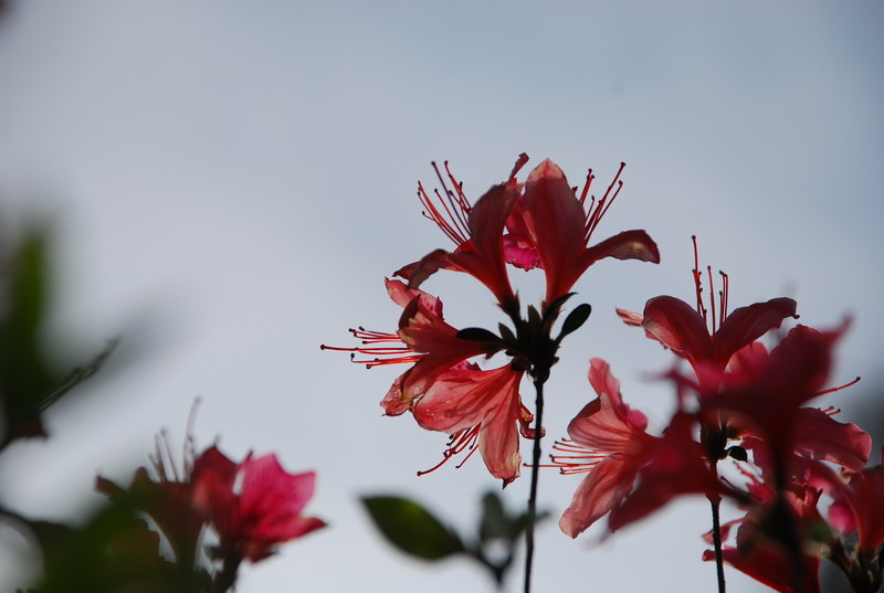 dsc_7474.jpg