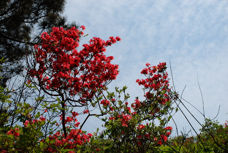 dsc_7501.jpg