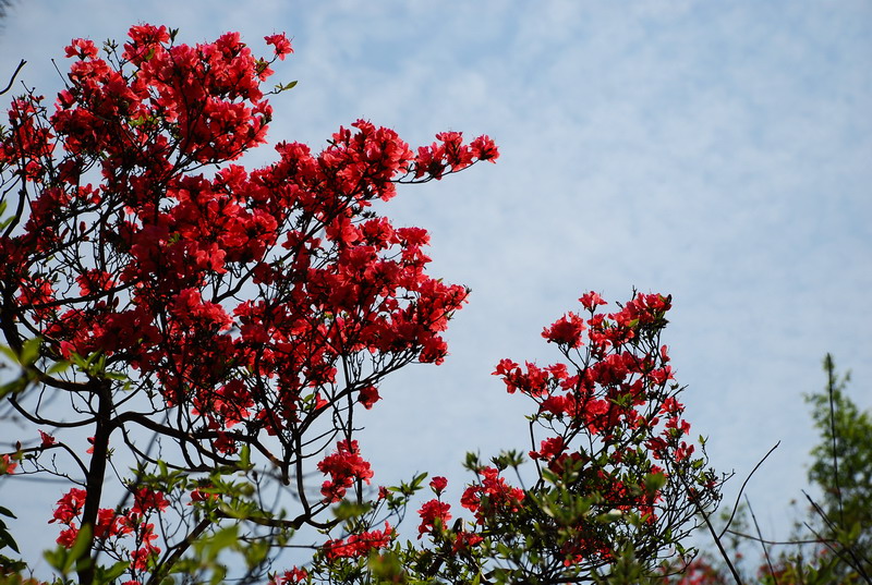 dsc_7504.jpg