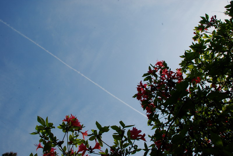 dsc_7512.jpg