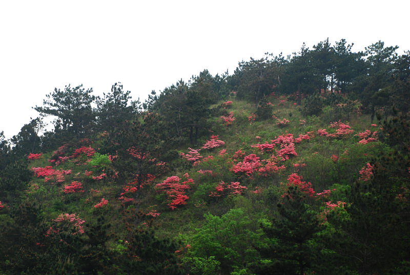 dsc_0148.jpg