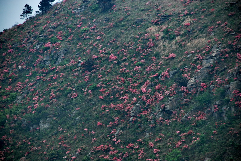 dsc_0161.jpg