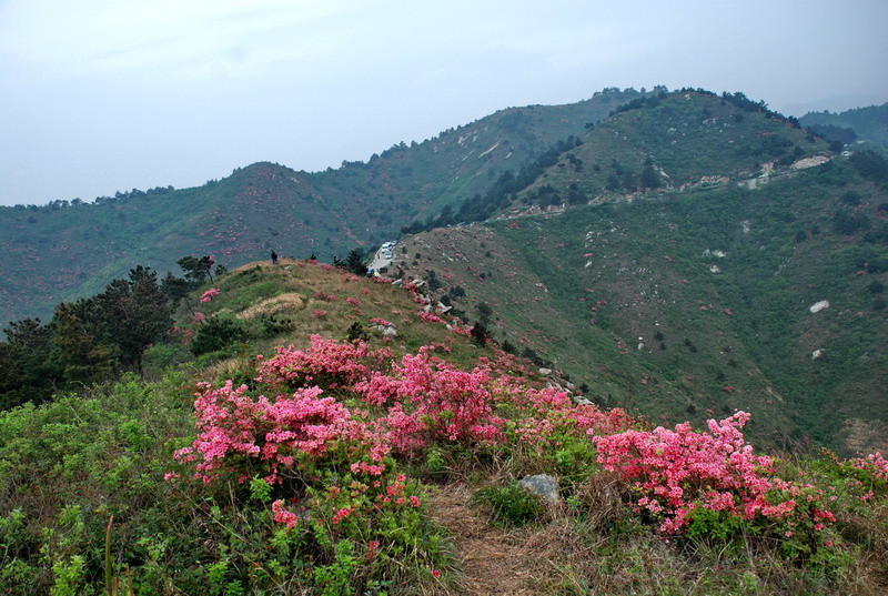 dsc_0200.jpg