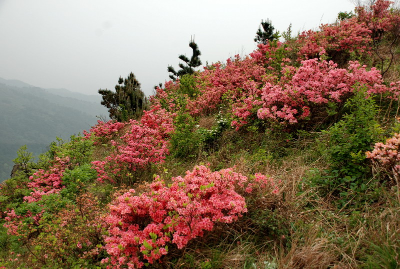 dsc_0183.jpg